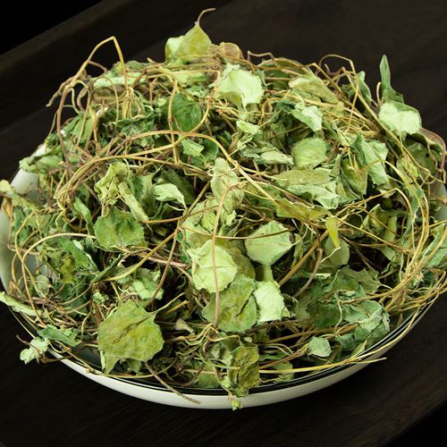 车前草金钱草治痛风效果如何