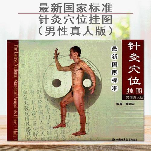 最新国家标准针灸穴位挂图