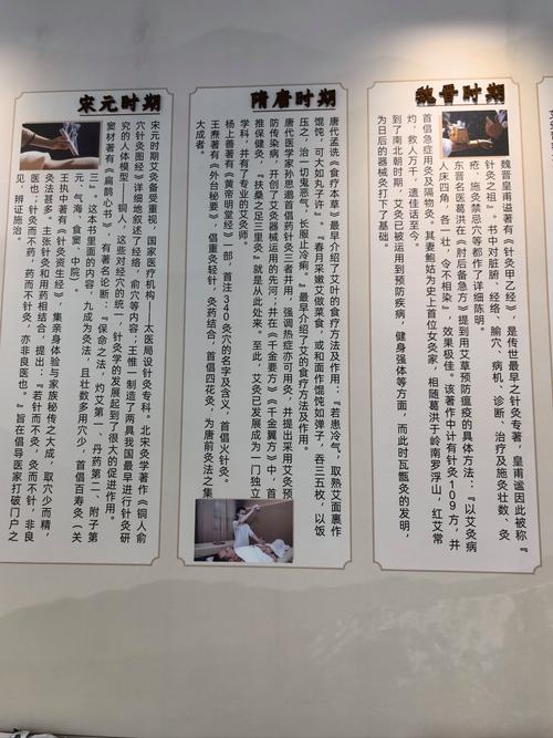 中医四法 砭针灸药