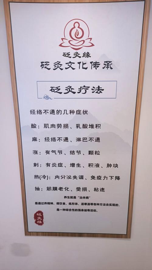 中医四法 砭针灸药