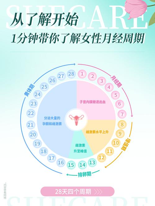 大姨妈来的前几天是安全期吗