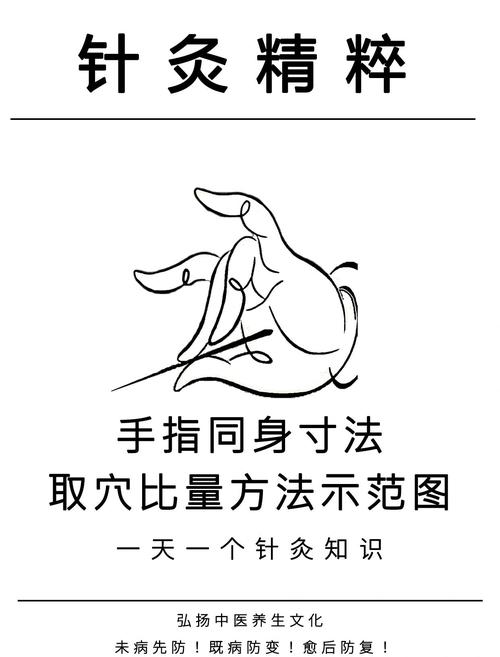 怎样快速自学针灸推拿