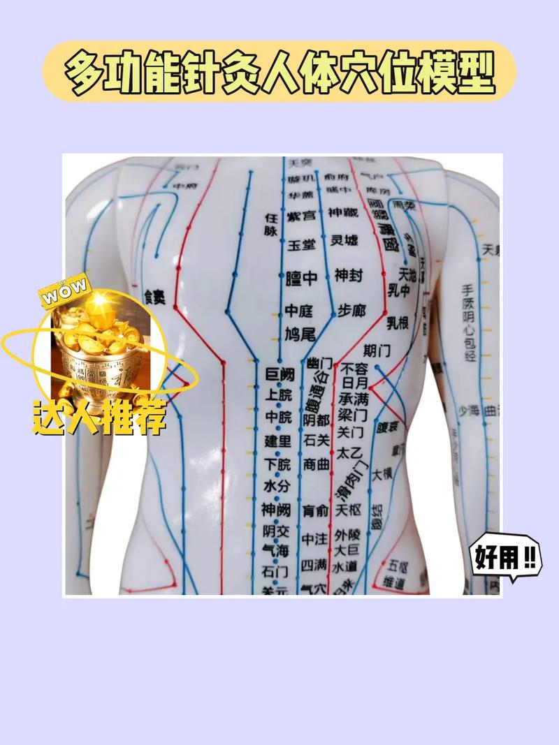 成都哪里可以针灸丰胸