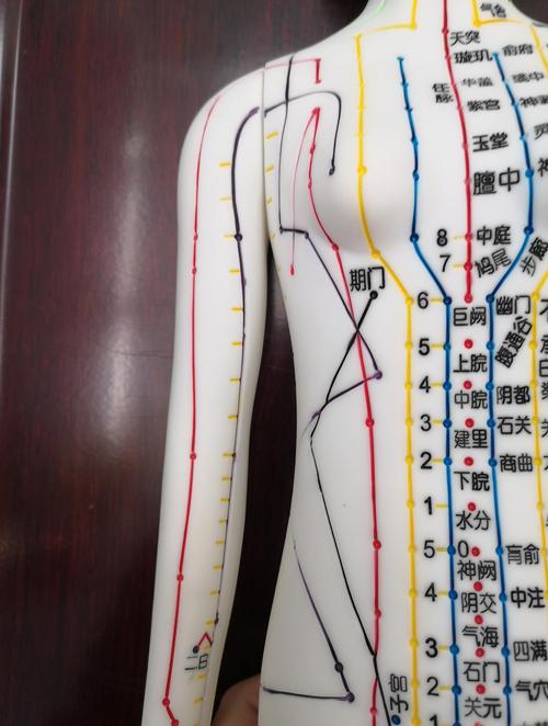 南宁哪里可以学习针灸