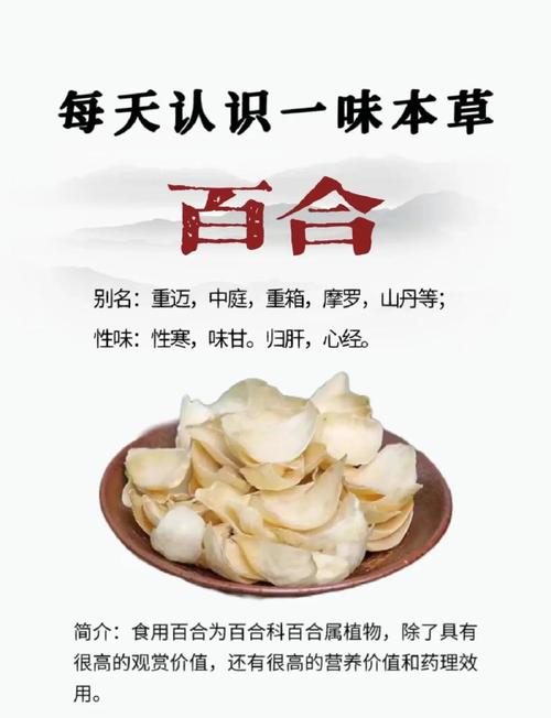 有痛风能长期吃百合吗