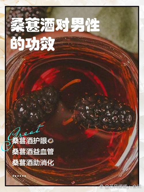 痛风能喝桑椹泡的酒吗