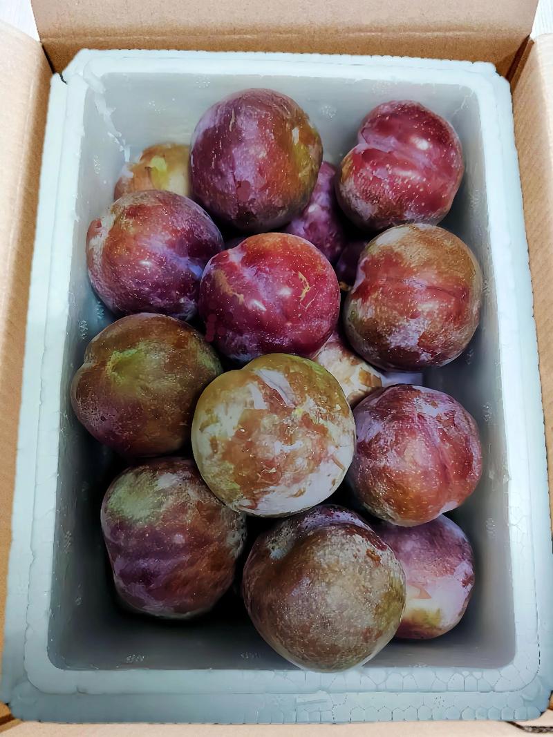 痛风者可以吃三华李吗