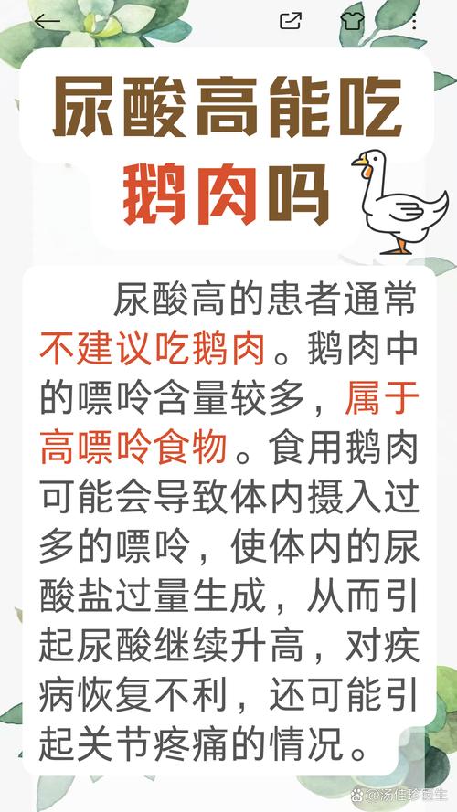 痛风能不能吃鸡 鸭肉