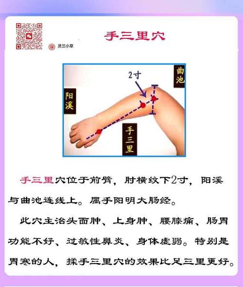 郑魁山针灸临床经验集