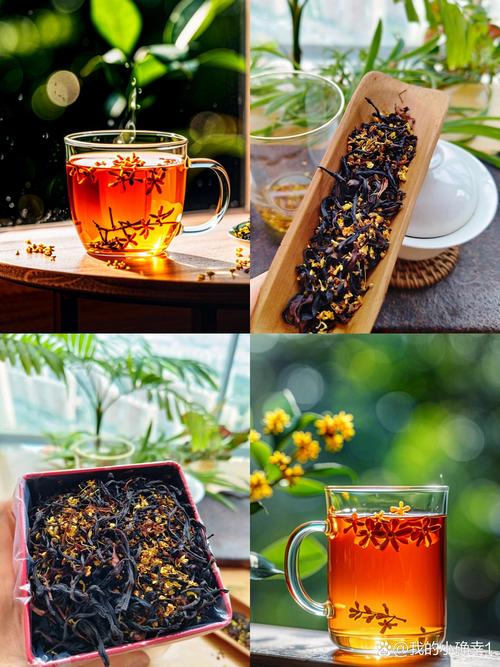 痛风病人能喝桂花茶吗