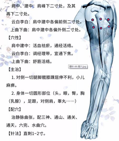 针灸如何治疗静脉曲张