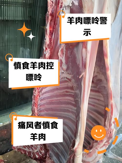 痛风病人能不能吃羊肉
