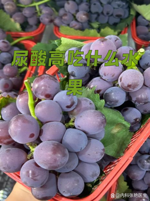 肾病痛风能吃什么水果