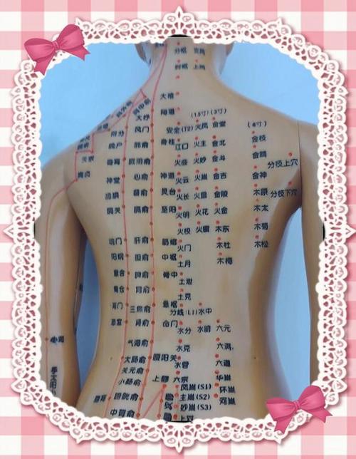 台湾董氏针灸真传秘录