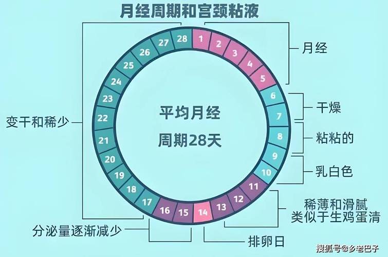 月经周期安全期怎么算的