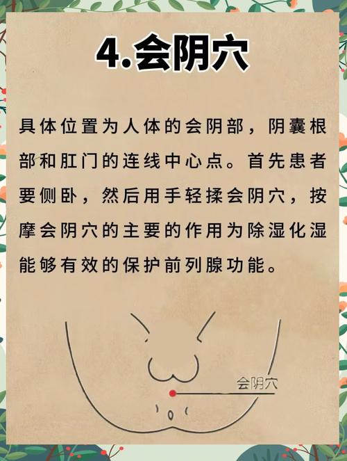 针灸前列腺 视频教程