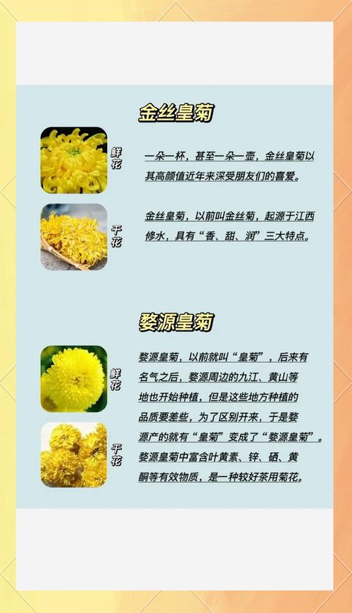 菊花茶对痛风有好处吗