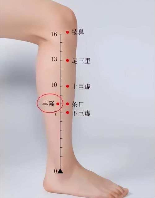 腿凉应该针灸什么血位