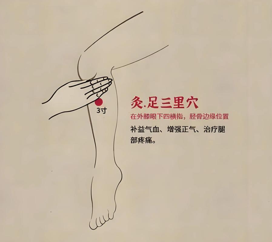 针灸足三里的最佳时间