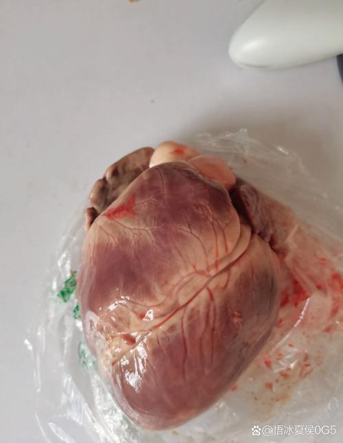 尿酸高痛风能吃猪心吗