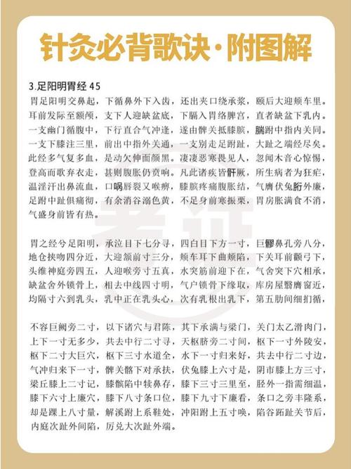 学针灸必背的经典内容
