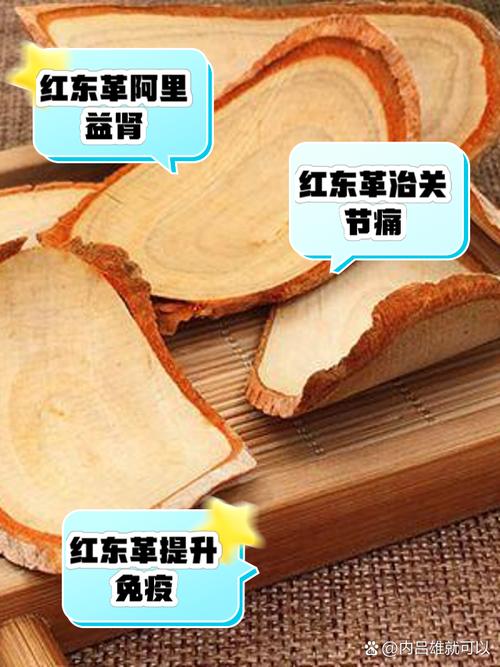 东革阿里对痛风的作用