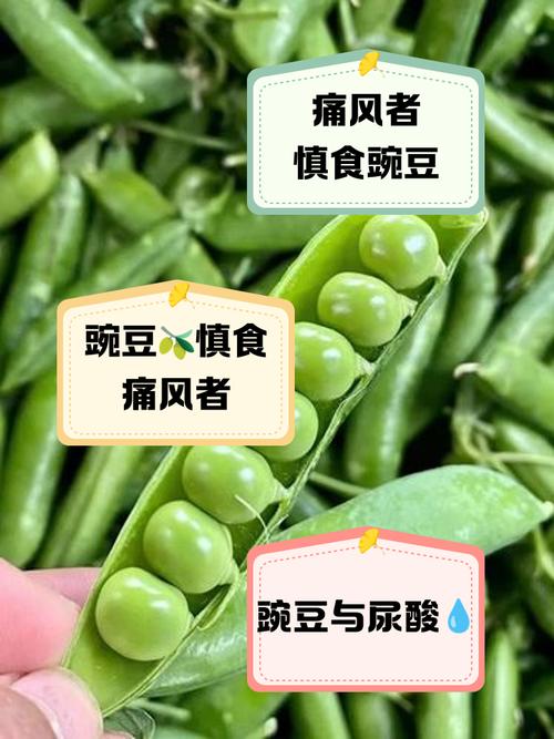 为什么痛风不能吃豌豆