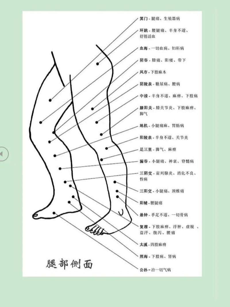 针灸经络腧穴标准手册