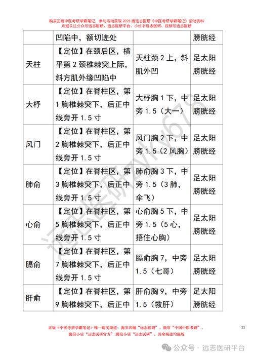 针灸经络腧穴标准手册