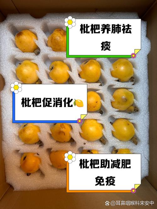 痛风病人可以吃枇杷吗