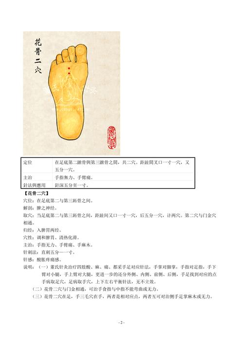 董氏针灸速查手册下载