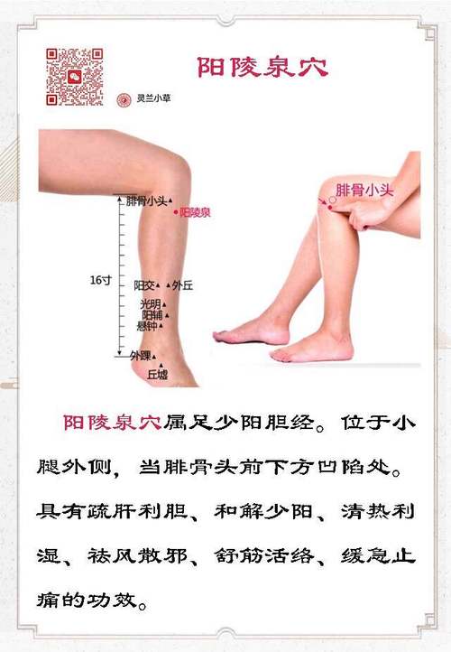 董氏针灸速查手册下载