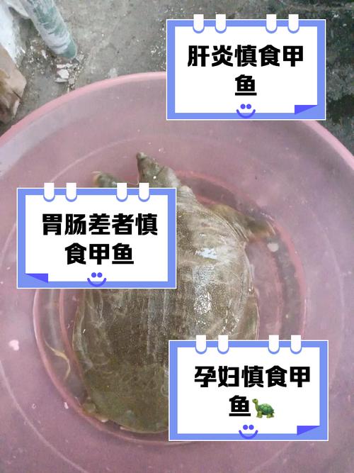 痛风病人可以吃甲鱼吗