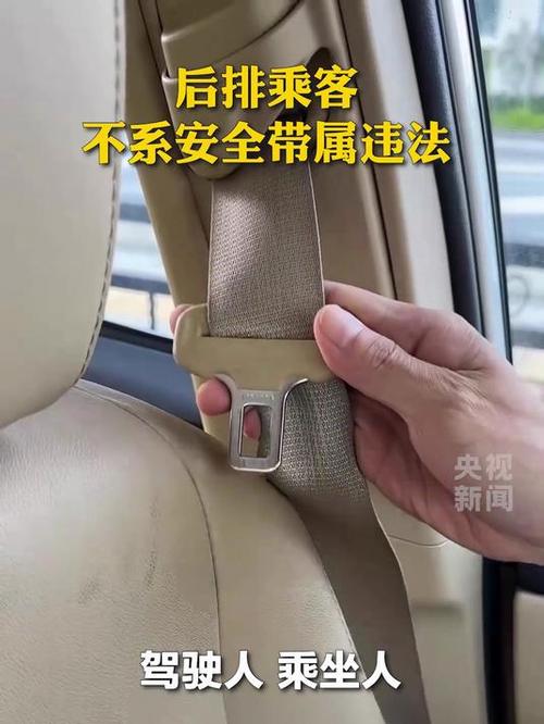 2025交规后排安全带