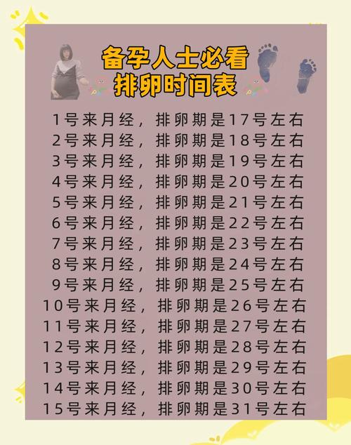 怎样推算排卵期和安全期