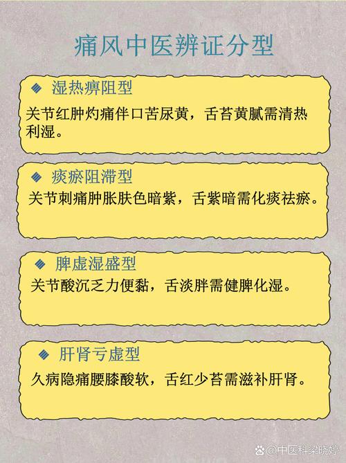 痛风中医辨病辨证依据