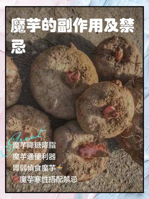 痛风能吃魔芋吗是发物