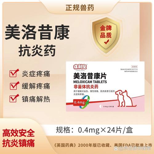 痛风期间吃什么消炎药