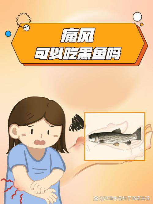 黑鱼痛风病人可以吃吗