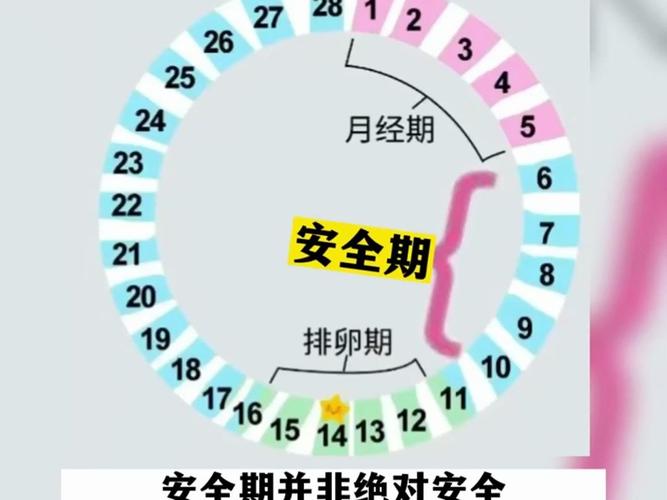怎么计算排卵期和安全期