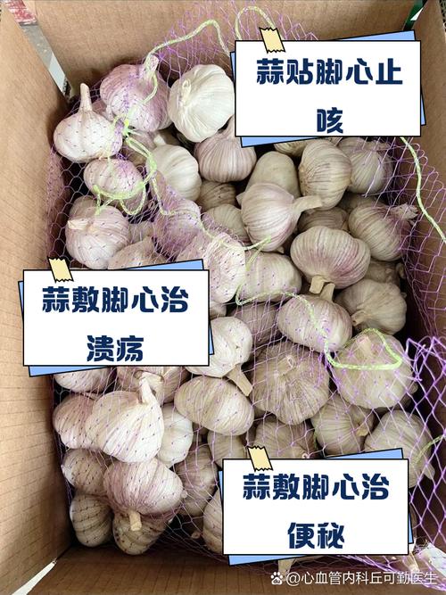 痛风患者可以吃蒜苔吗