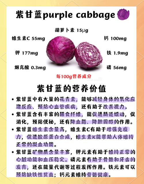 痛风病人能吃紫甘蓝吗