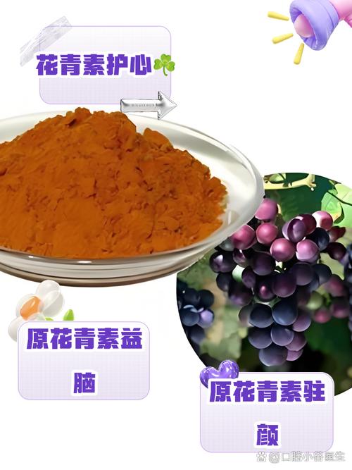 花青素可以治疗痛风吗