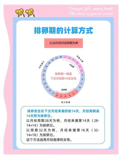 如何计算安全期和排卵期