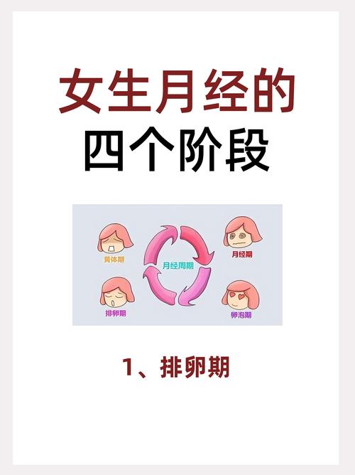 月经来的前几天是安全期