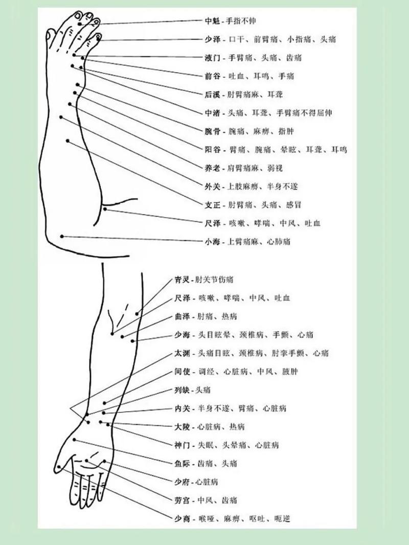 单穴针灸治急症pdf
