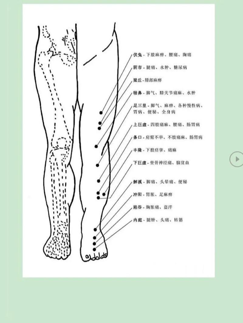 单穴针灸治急症pdf