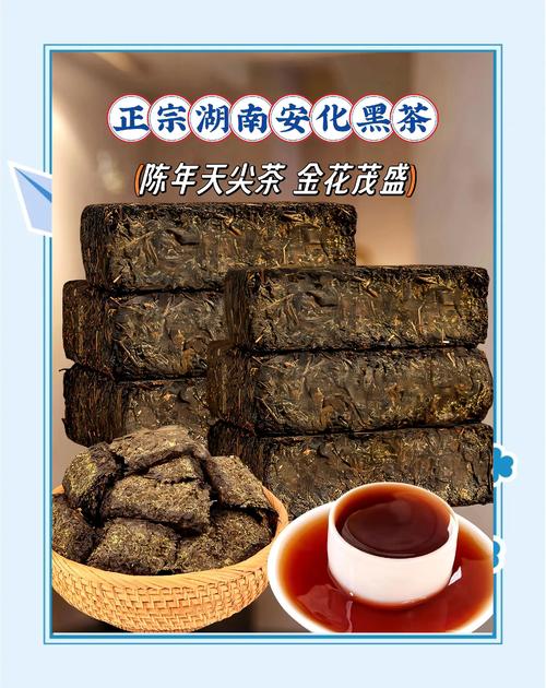 痛风可以喝安化黑茶吗