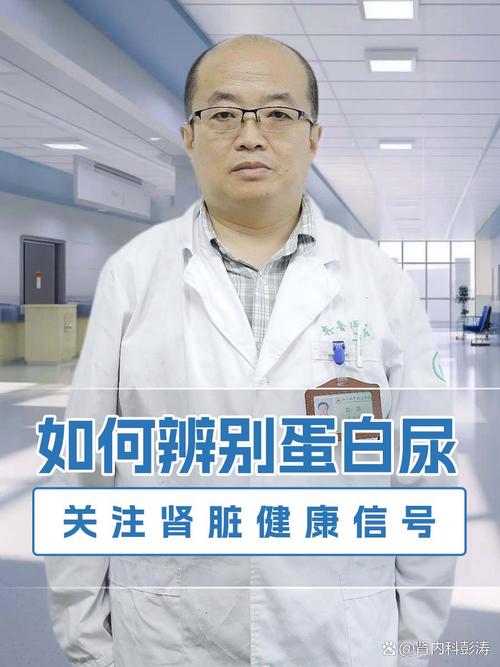 痛风和尿蛋白有关系吗