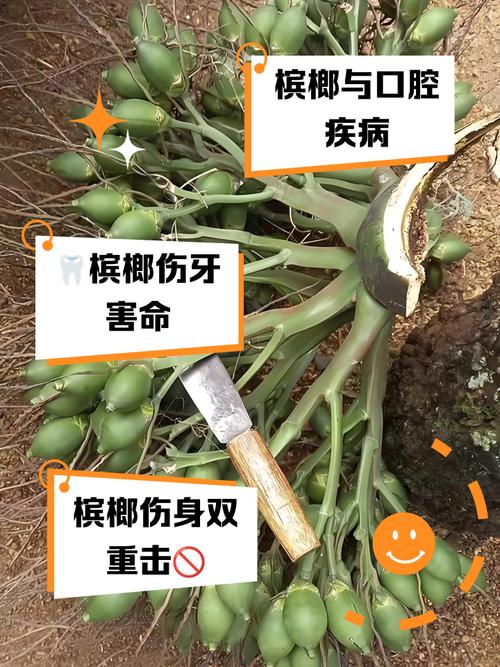 吃槟榔对痛风有影响吗